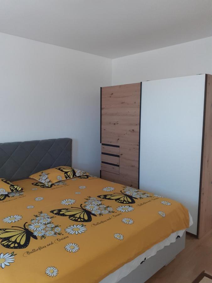Casa Dana Apartment Sibiu Exterior photo